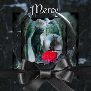 Meet your Posher, Marcy